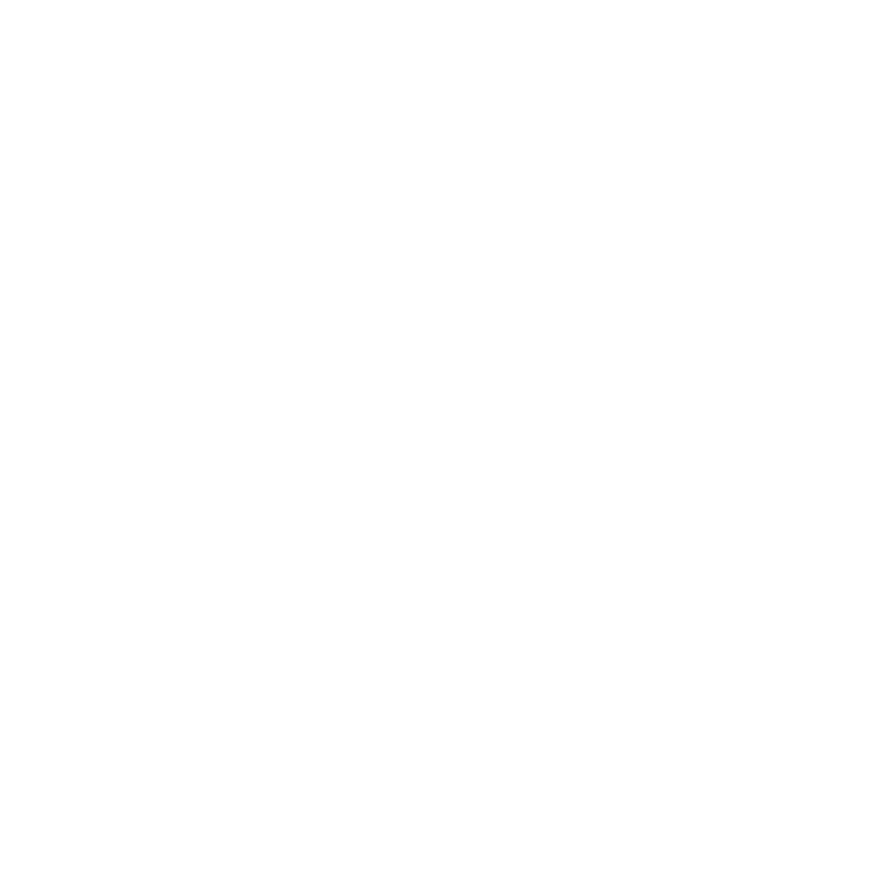Logo Blanc Miles conseil